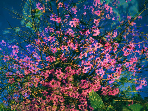 419201 (a): :1024x768